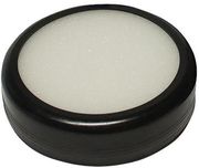 daktylobrektiras kaoytsoyk photo