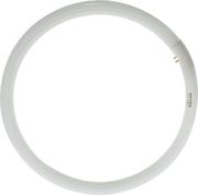 lamptiras geyer fthorioy kykliki t9 40w g10q 6500k photo