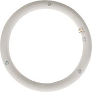 lamptiras geyer led t9 kykliki 165w g10q 6500k 1700lm photo