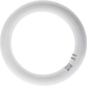 lamptiras geyer led t9 kykliki 24w g10q 6500k 2500lm photo