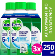 dettol apolymantiko plyntirioy royxon wmc classic 250 ml 3tmx photo