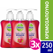 dettol antibaktiridiako liquid soap me antlia cranberry 250 ml 3tmx photo