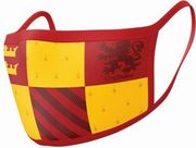 pyramid harry potter wizarding world gryffindor mask 2tem photo