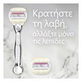 xyrafakia gillette venus sugarberry mhxanh 1 ant extra photo 5