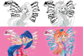 tetradio karfitsa 17x25 winx 002 40f extra photo 1