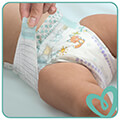 panes pampers active baby no7 15 kg 80 tmx 40 40tmx maxi extra photo 3