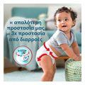 panes pampers premium pants no6 3x31 jumbo extra photo 2