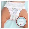 panes pampers premium pants no6 3x31 jumbo extra photo 7
