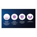 odontokrema oral b 3d clinical intensive whitening 75ml extra photo 18 odontokrema oral b 3d clinical intensive whitening 75ml extra photo 18