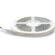 geyer tainia led eco 48w 12v 6500k 180 240lm ip65 5m photo