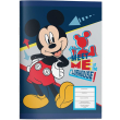 tetradio karfitsa 17x25 mickey 001 40f photo