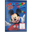 tetradio karfitsa 17x25 mickey 002 40f photo