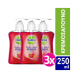 dettol antibaktiridiako liquid soap me antlia cranberry 250 ml 3tmx photo