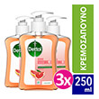 dettol ygro kremosapoyno grapefruit 250 ml 3tmx photo