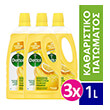 dettol diluted citrus antibaktiridiako 1 lt 3tmx photo