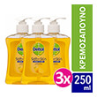dettol liquid soap anazoogonitiko citrus me antlia 250 ml 3tmx photo