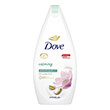 afrontoys dove ntoys pistachio cream 450ml photo
