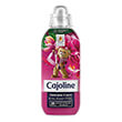 malaktikio royxon cajoline sympyknomeno red fruits 630ml photo
