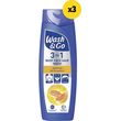 afroloytrosampoyan wg vitam c 3in1 1080ml 3x360ml photo