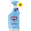 viakal express ntouziera 3x800ml photo