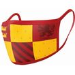 pyramid harry potter wizarding world gryffindor mask 2tem photo