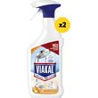 viakal spray xydi 1600ml 2x800ml photo