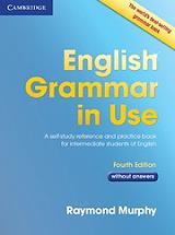 english grammar in use without answers photo