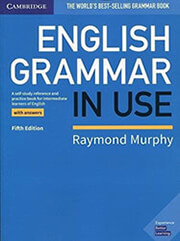 english grammar in use photo