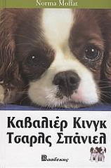 kabalier kingk tasrls spaniel photo