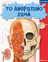 to anthropino soma photo