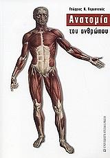 anatomia toy anthropoy photo