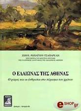 o elaionas tis athinas photo