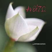 anthizo photo