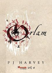 orlam photo