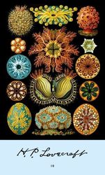 hp lovecraft 10 photo