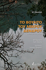 to boyito toy mikroy dendroy photo