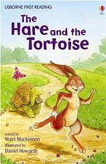the hare and the tortoise photo