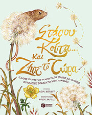 stasoy koita kai zise to tora photo