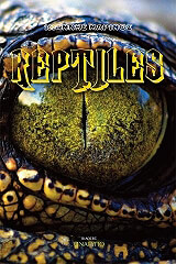 reptiles photo