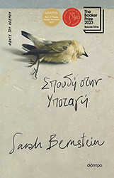 spoydi stin ypotagi photo