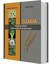 zizania photo