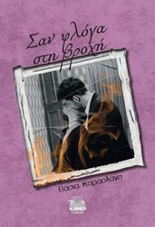 san floga sti broxi photo