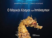 o magikos kosmos ton ippokampon photo