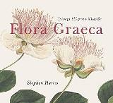 floria graeca yperoxi elliniki xlorida photo