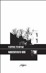 narcissus rex photo