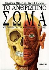 to anthropino soma photo