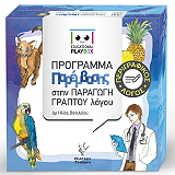 educational playbox programma parembasis stin paragogi graptoy logoy photo