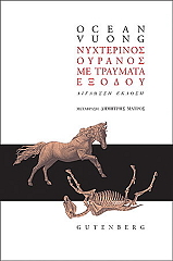 nyxterinos oyranos me traymata exodoy photo