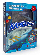 karxaries photo