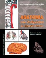 anatomia toy anthropoy me egxromes eikones photo anatomia toy anthropoy me egxromes eikones photo